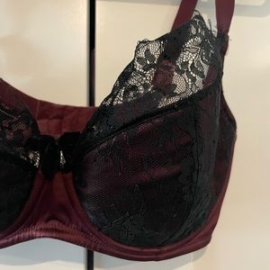 Playful promises bra